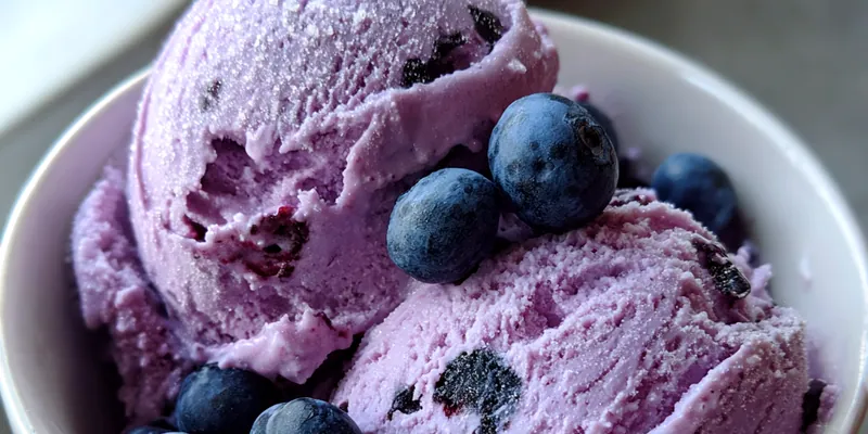 Blueberry Yogurt Delight